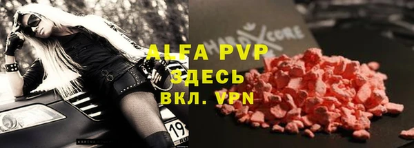 хмурый Магас