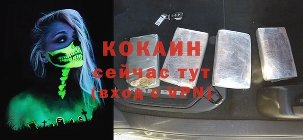 хмурый Магас