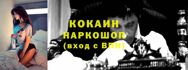 хмурый Магас