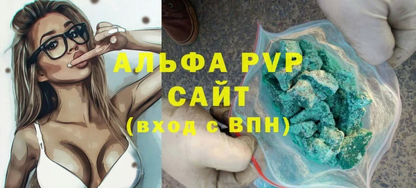 хмурый Магас