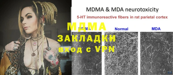 хмурый Магас