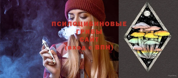 хмурый Магас