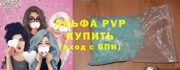 хмурый Магас