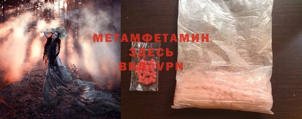 хмурый Магас